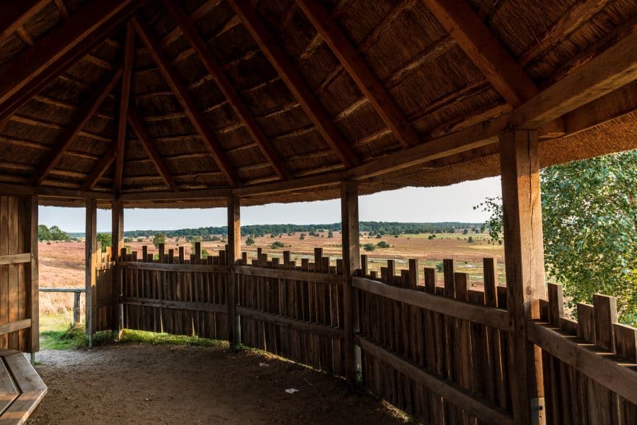 Wandern auf der Heideschleife TütsbergHiking on the Tütsberg heathland loopVandring på Tütsbergs hede-loopWandelen op de Tütsberg heidelus