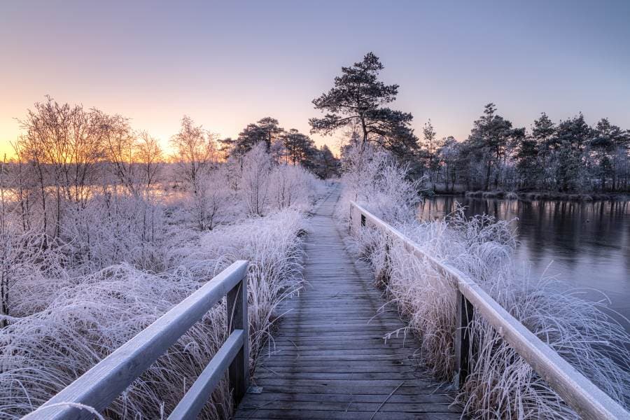 Frost im Pietzmoor Heideschleife Rundwanderweg