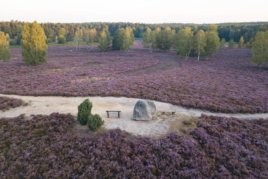 Heideschleife Angelbecksteich Luftaufnahme barrierefreier RundwanderwegHeideschleife Angelbecksteich aerial view barrier-free circular hiking trailHeideschleife Angelbecksteich luftfoto barrierefri cirkulær vandrestiHeideschleife Angelbecksteich luchtfoto barrièrevrije rondwandeling