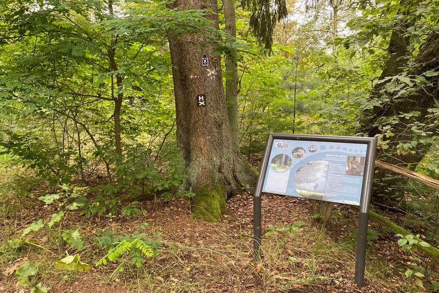 Infotafel am Heidschnuckenweg