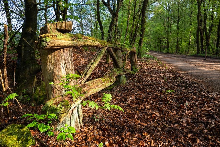 Heidschnuckenweg Etappe 13 - auch im Frühling herrlich Wandern