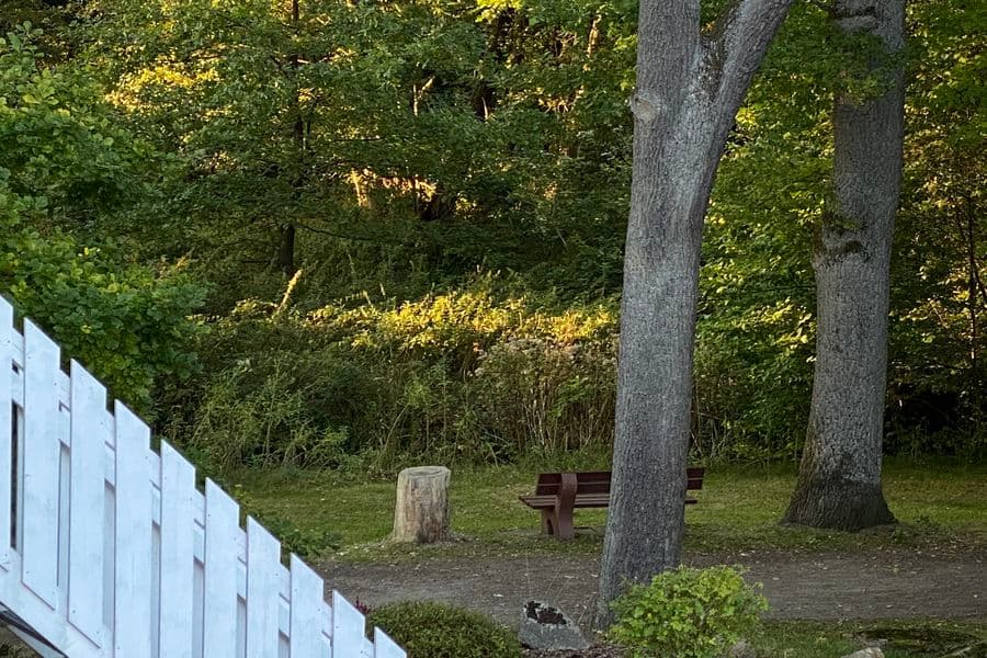 Heidschnuckenweg bei dem Appartement "Schnuckeliges Nest" in Müden