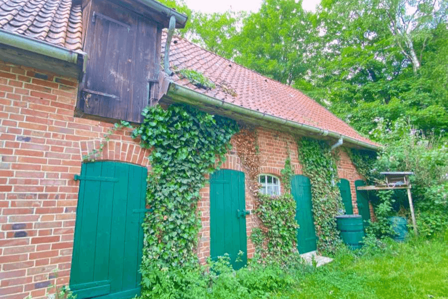 Urlaub auf dem Land im Ferienhaus Heidschnuckenhof Lüneburger heide